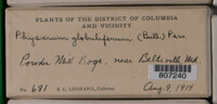 Image Associated With the Occurence
